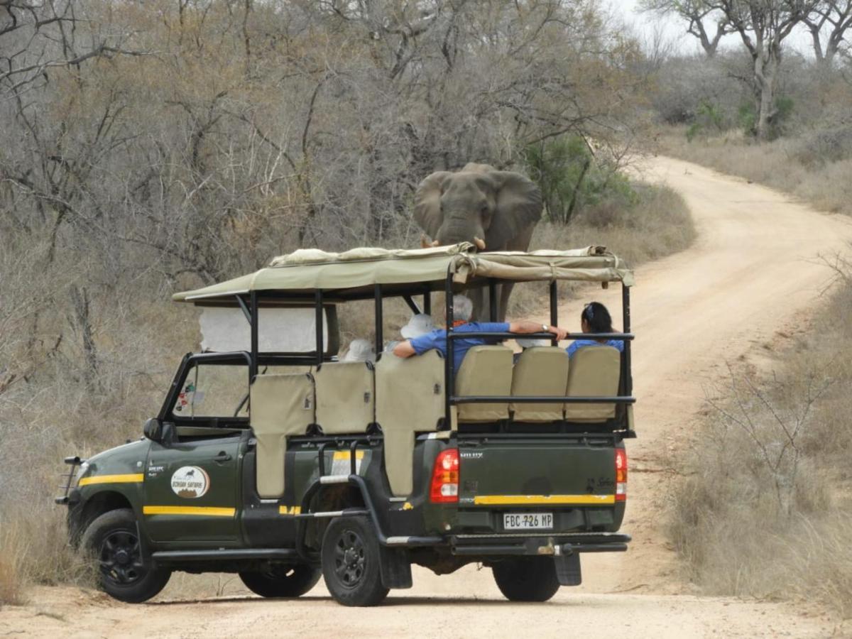 Bongan Safari Lodge Mbabat Εξωτερικό φωτογραφία
